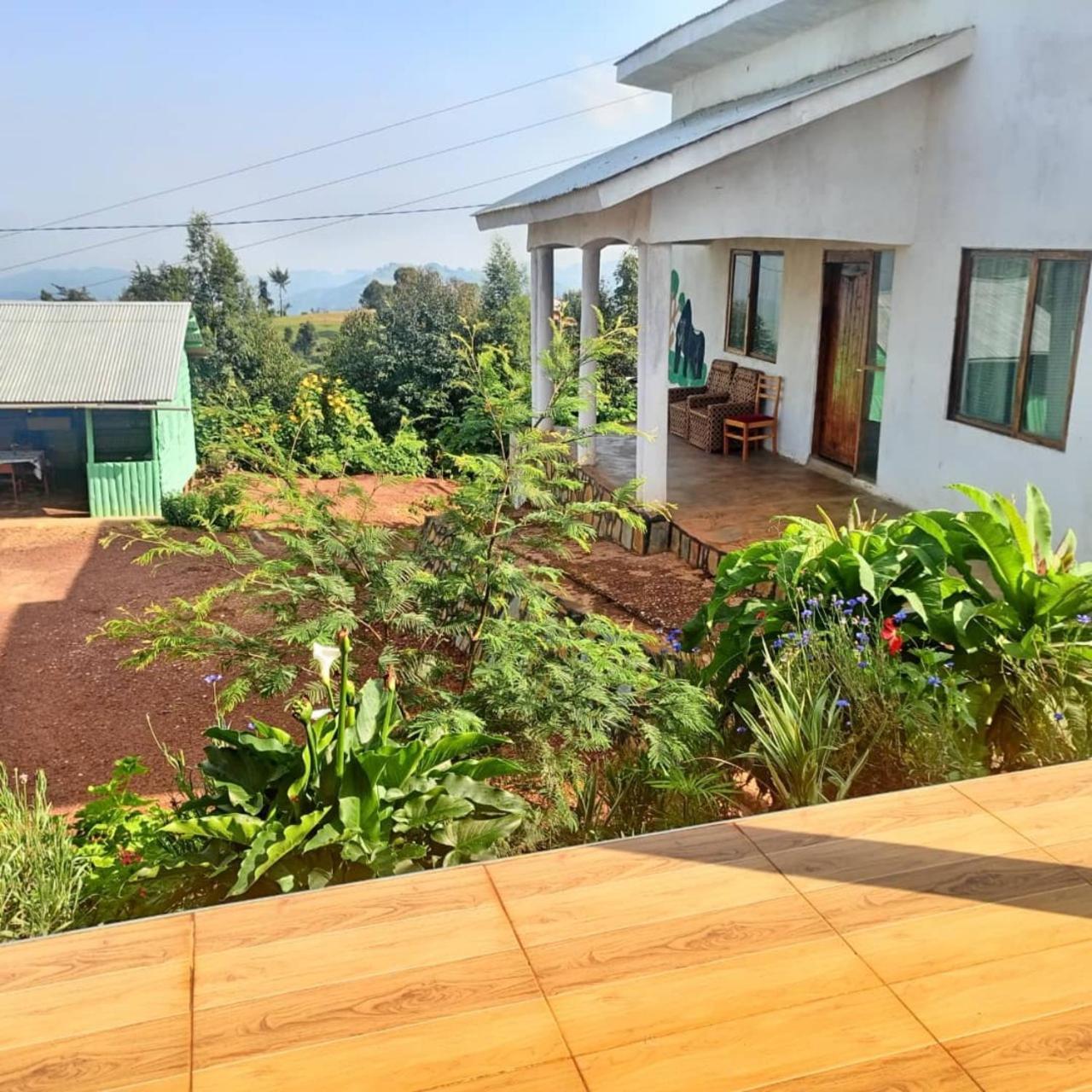 Ruhija Gorilla Guest House Kabale Ngoại thất bức ảnh