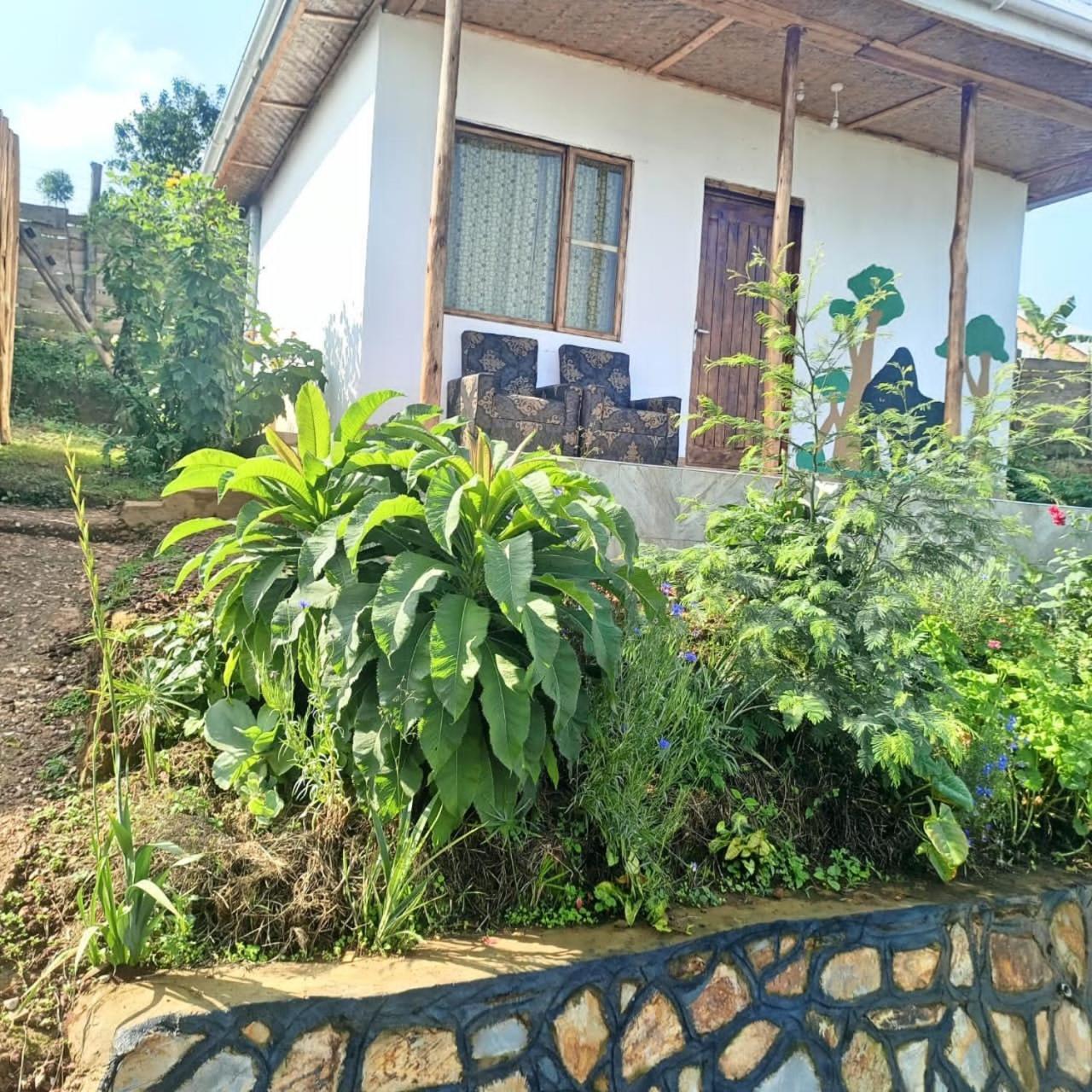 Ruhija Gorilla Guest House Kabale Ngoại thất bức ảnh